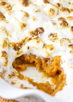 A warm sweet potato casserole topped with gooey toasted marshmallows inside of a white baking dish