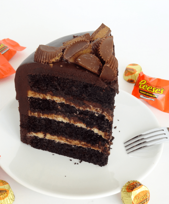 Peanut Butter and Chocolate Cake with Reese's