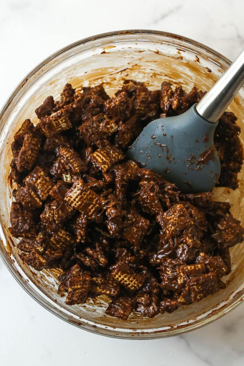 chex cereal with melted chocolate mixed in