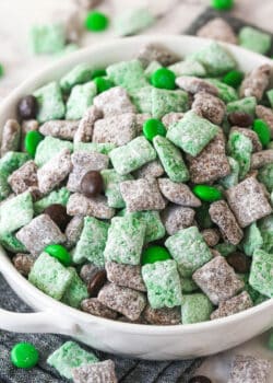 baileys puppy chow in white bowl on grey napkin