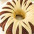 Baileys Irish Cream Bundt Cake