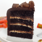 Peanut Butter and Chocolate Cake slice