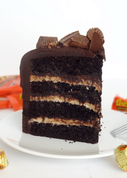 Peanut Butter and Chocolate Cake slice