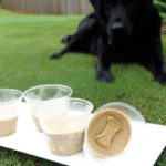 2 Ingredient Frozen Peanut Butter Banana Dog Treats and One Happy Pup