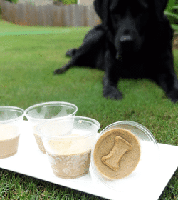 2 Ingredient Frozen Peanut Butter Banana Dog Treats and One Happy Pup