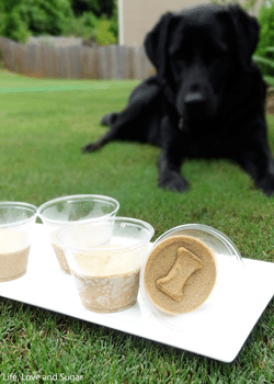 2 Ingredient Frozen Peanut Butter Banana Dog Treats and One Happy Pup