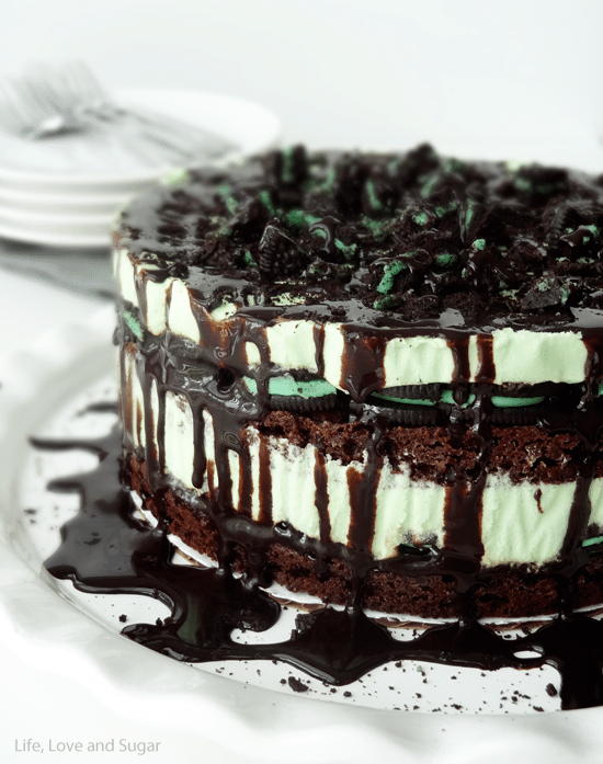 Mint_oreo_ice_cream_cake3