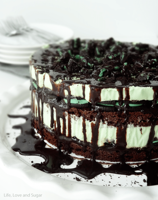 Mint Oreo Brownie Ice Cream Cake with chocolate sauce dripping down the sides