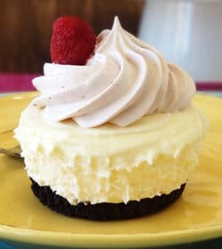 Raspberry Cheesecake Ice Cream Cupcake on yellow plate