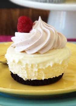 Raspberry Cheesecake Ice Cream Cupcake on yellow plate