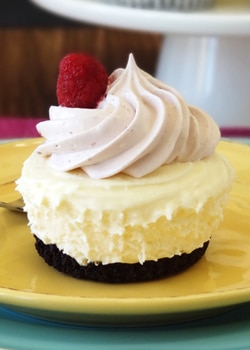 Raspberry Cheesecake Ice Cream Cupcake on yellow plate