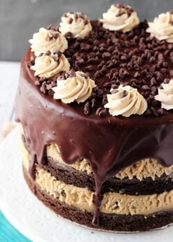 Peanut Butter Cookie Dough Brownie Layer Cake close up