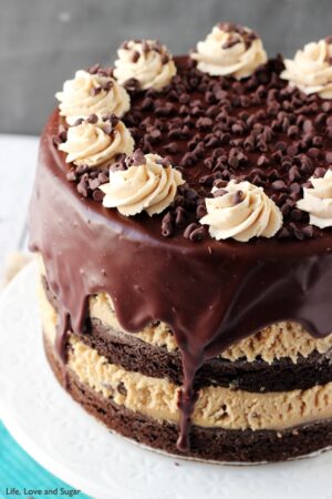 Peanut Butter Cookie Dough Brownie Layer Cake close up