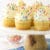 Perfect Moist and Fluffy Vanilla Cupcakes