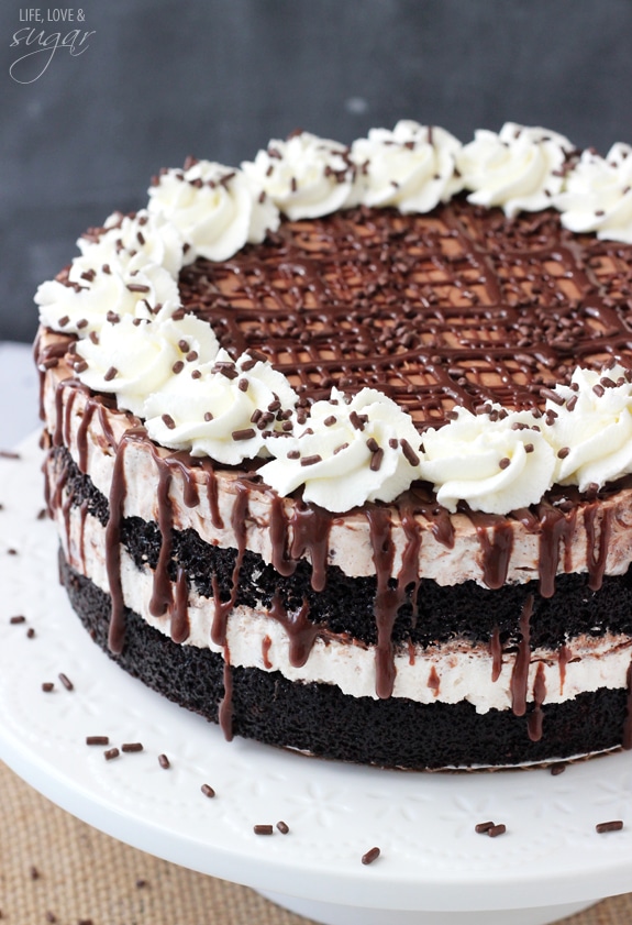 Hot Fudge Swirl Ice Cream Cake on a white plate