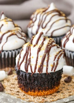 Smores Cupcake close up image