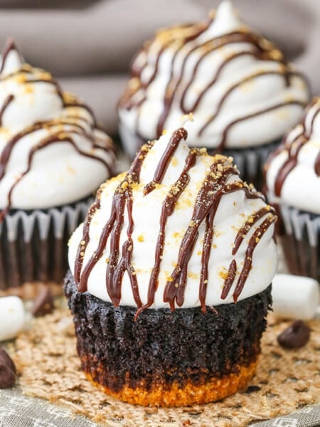 Smores Cupcake close up image
