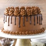 A homemade chocolate cake on a cake stand