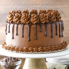 A homemade chocolate cake on a cake stand