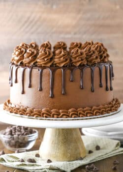 A homemade chocolate cake on a cake stand