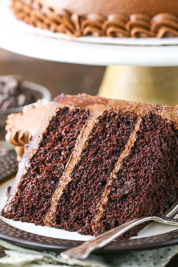 a slice of moist chocolate cake