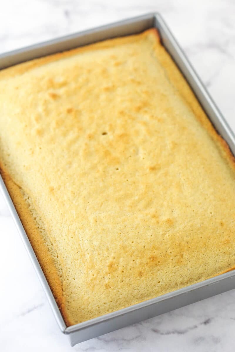 Freshly baked cake
