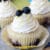 Lemon Blueberry Cupcakes