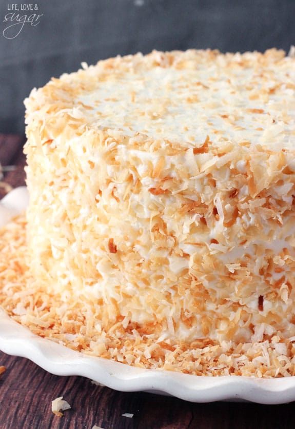 Chocolate Coconut Cake on a white plate