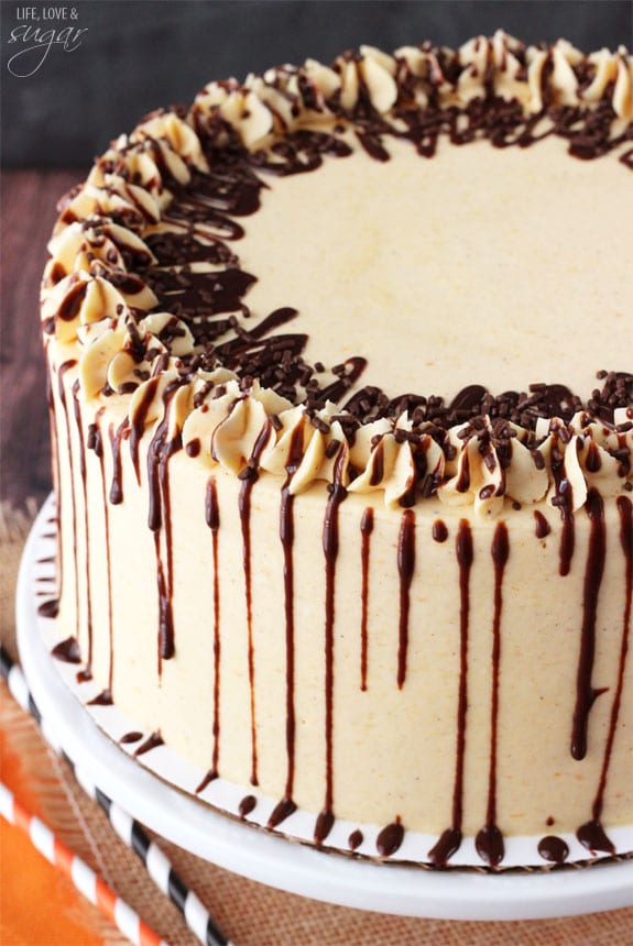 Pumpkin Chocolate Cheesecake Cake on a white plate