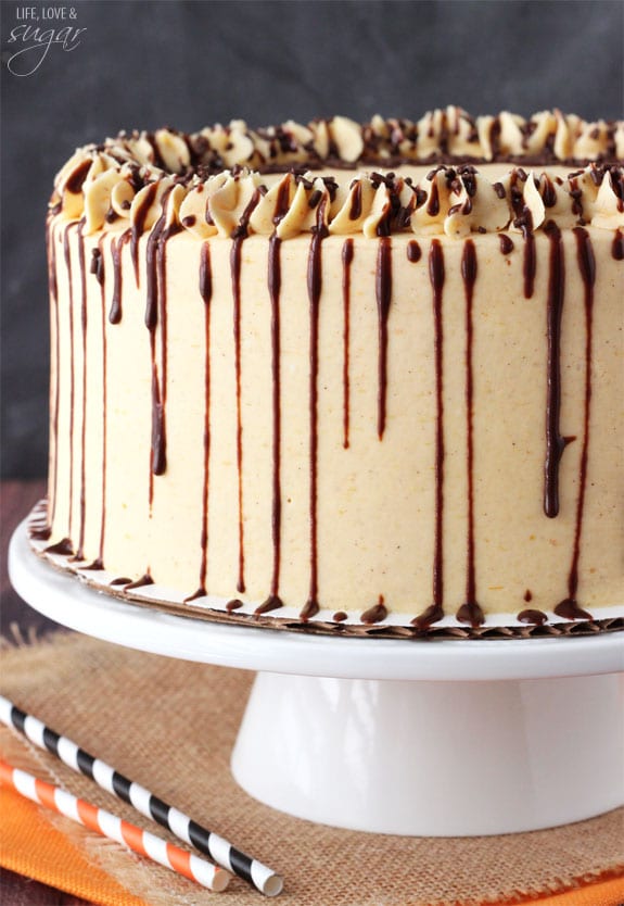 Pumpkin Chocolate Cheesecake Cake on a white cake stand