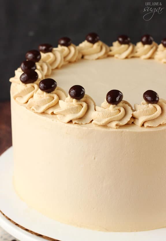 Side view of a Mocha Brownie Ice Cream Cake