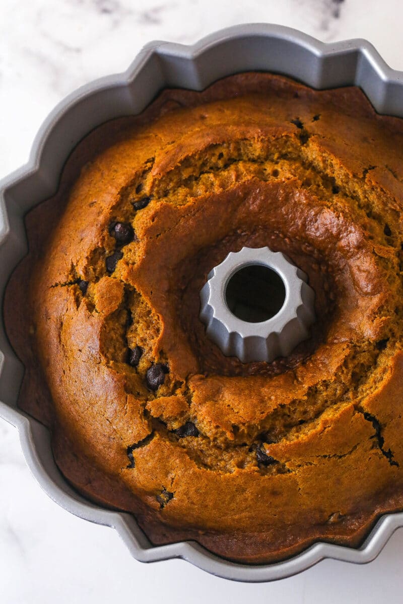 Every bite of this pumpkin chocolate chip bundt cake is moist, perfectly spiced, and dotted with chocolate chips. Baked pumpkin chocolate chip bundt cake in a pan