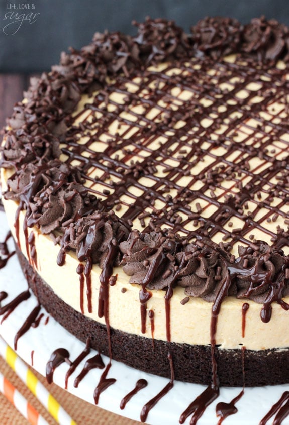 Overhead view of a Pumpkin Chocolate Brownie Cheesecake on a white plate