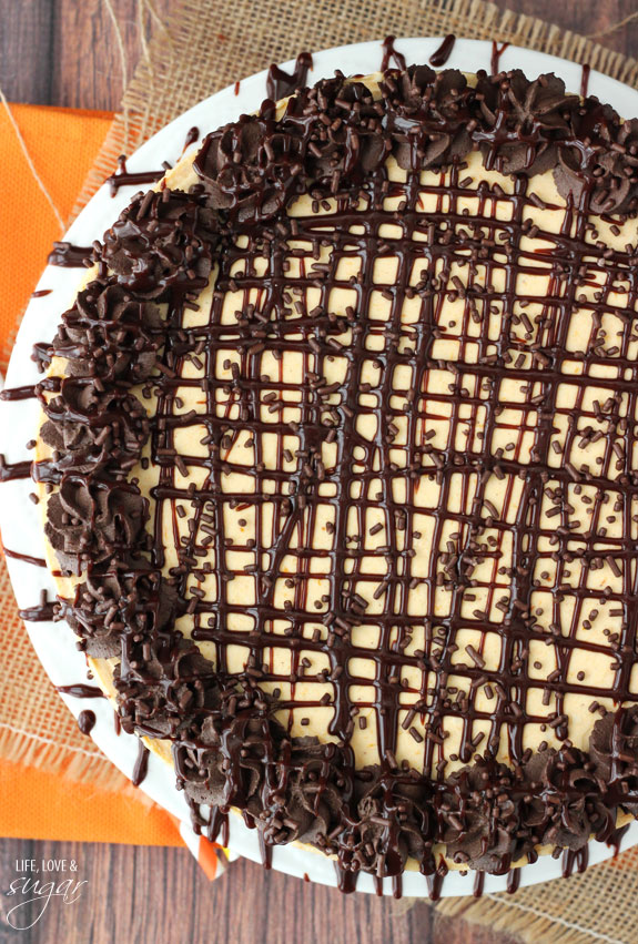 Overhead view of a Pumpkin Chocolate Brownie Cheesecake on a white plate