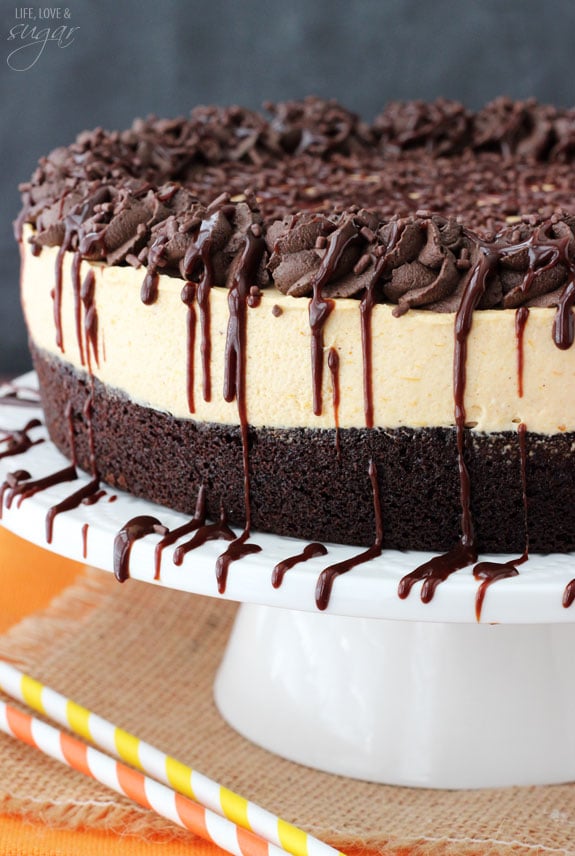 Side view of a Pumpkin Chocolate Brownie Cheesecake on a white cake stand