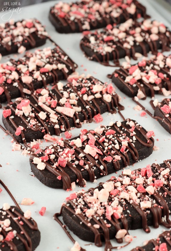 Chocolate Peppermint Shortbread Cookies on wax paper