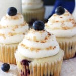 Blueberry Coconut Cupcakes close up