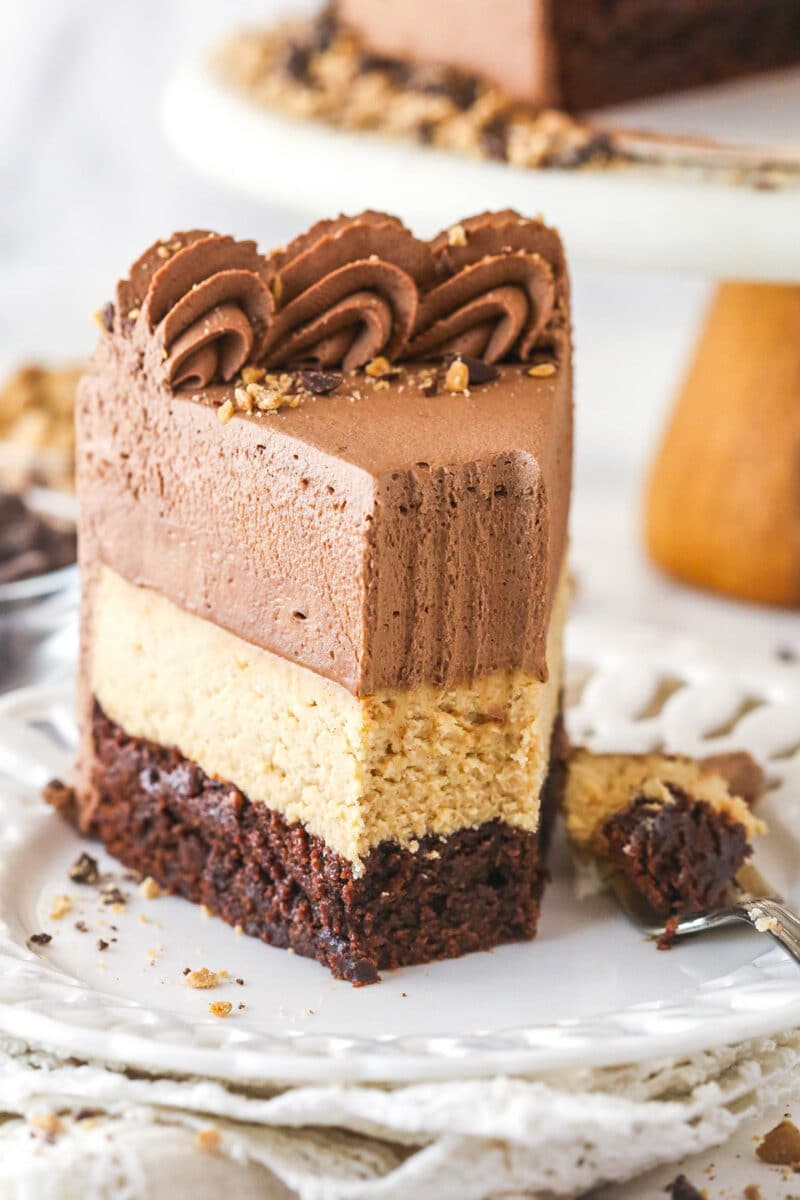 Peanut Butter Chocolate Mousse Cake - Life Love and Sugar
