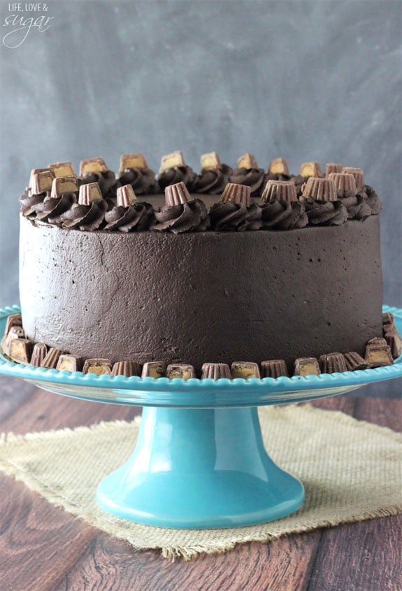 Peanut Butter Chocolate Mousse Cake on a blue cake stand