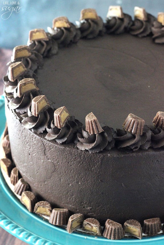 Peanut Butter Chocolate Mousse Cake on a blue cake stand