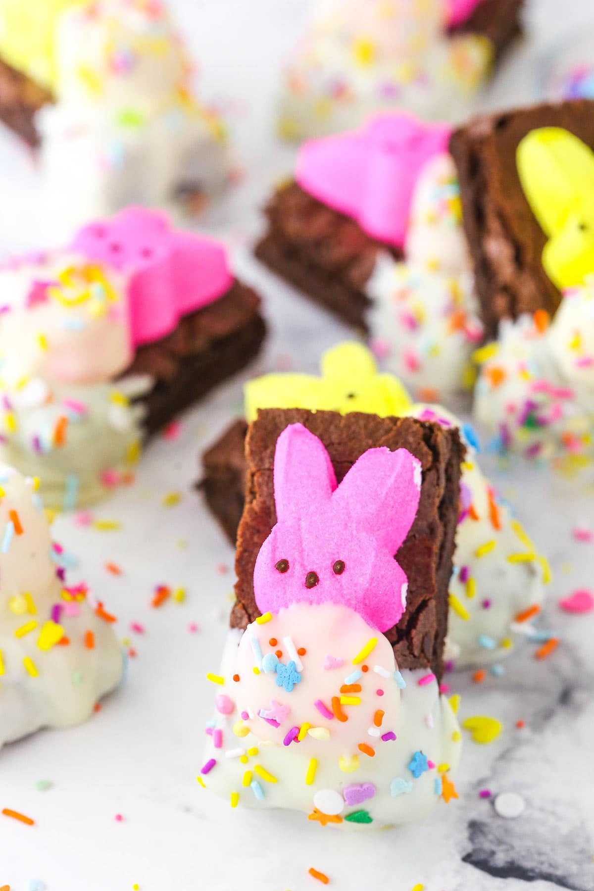 peeps brownies with one propped up