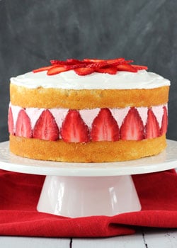 Strawberry Ice Cream Cake