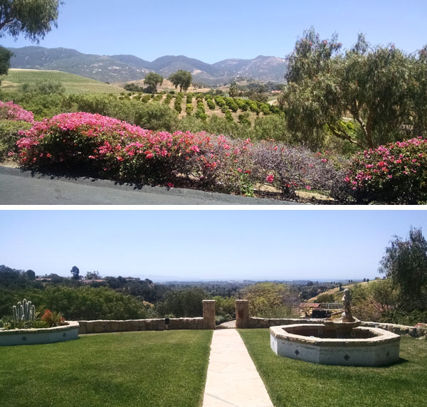 A Collage of the landscape at Opryland Estate