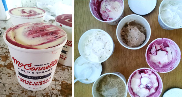 Ten Tubs of Various Flavors of McConnell's Ice Cream