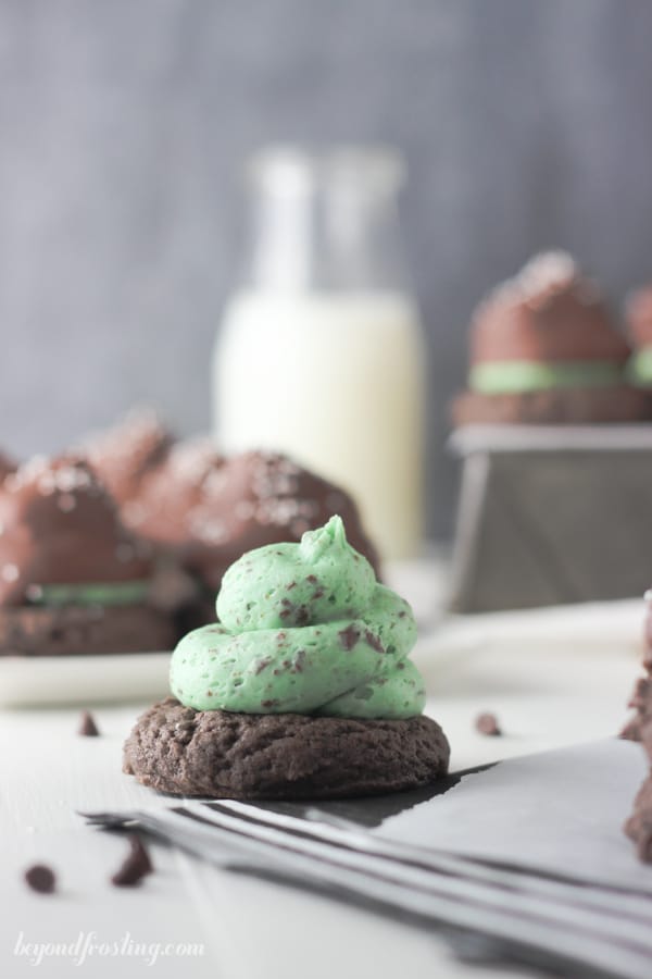 Chocolate cookie with a mint chip swirl on top
