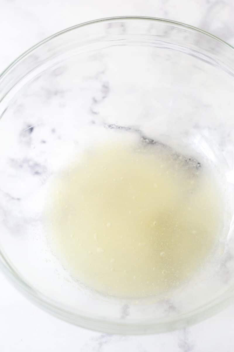 gelatin and water combined in glass bowl
