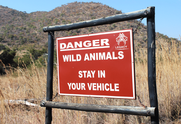 A Red Sign That Reads "Danger: Wild Animals. Stay in Your Vehicle"