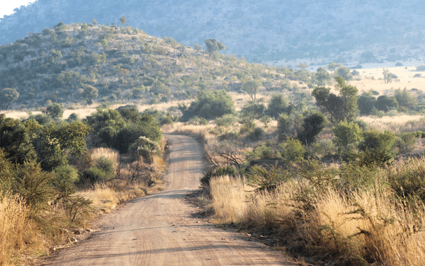 A Stretch of The Road That Runs Through the Safari Park
