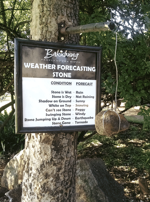 A Weather Forecasting Stone Hanging From a Tree Near the Restaurant