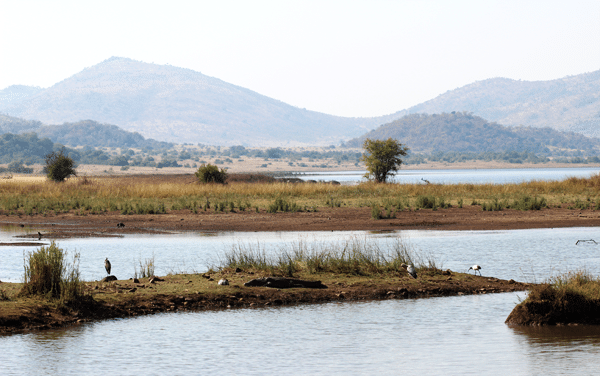 A Watering Hole in the Middle of Pilanesberg National Park